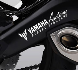 MT-09 Street Fighter</strong> swingarm stickers
